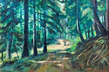 Í Svartaskógarfjöllum